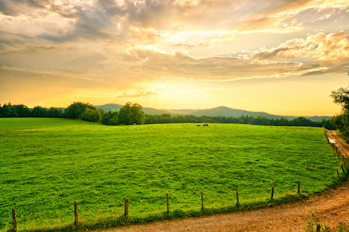 greenbelt-land